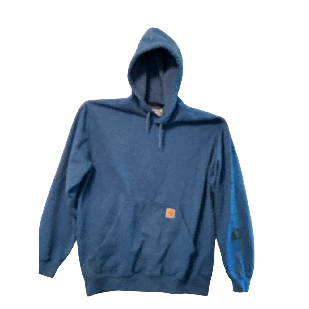 Carhartt Mens Loose Fit Graphic Logo Sleeve Pullover Hoodie Blue Large